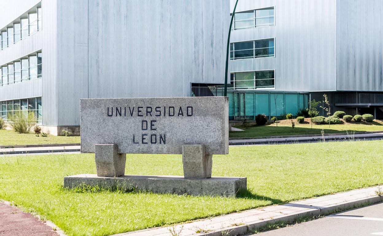 Estos cursos están destinados tanto a los propios estudiantes como a cualquier persona ajena a la comunidad universitaria.