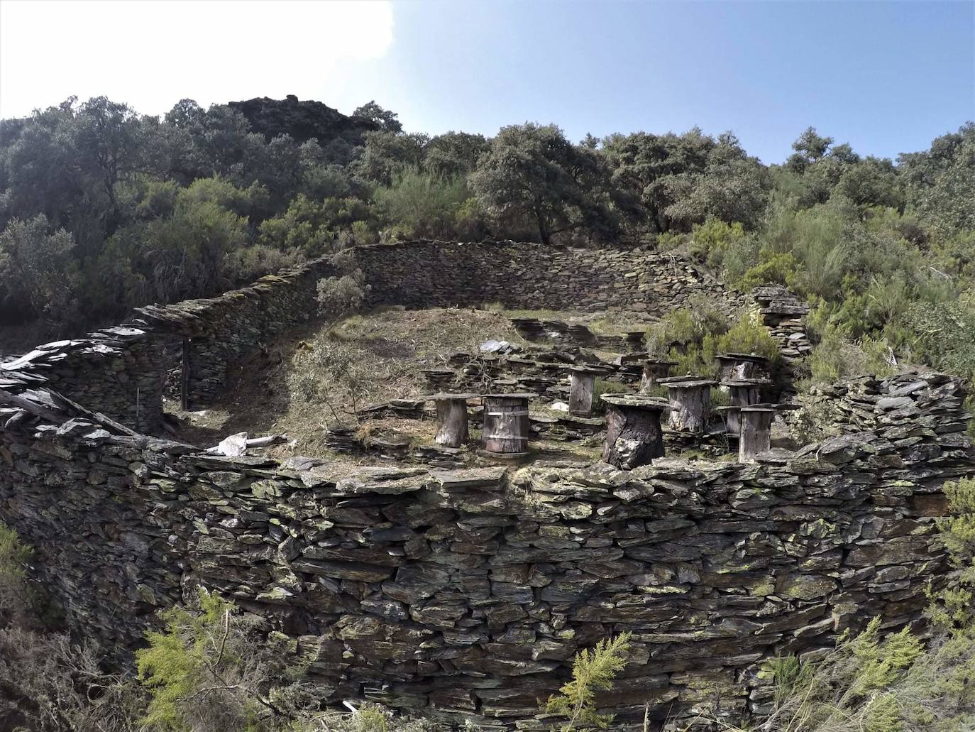 Conjunto de 17 cortines para proteger las colmenas de los ataques de osos hallados en la localidad berciana de Fonfría.