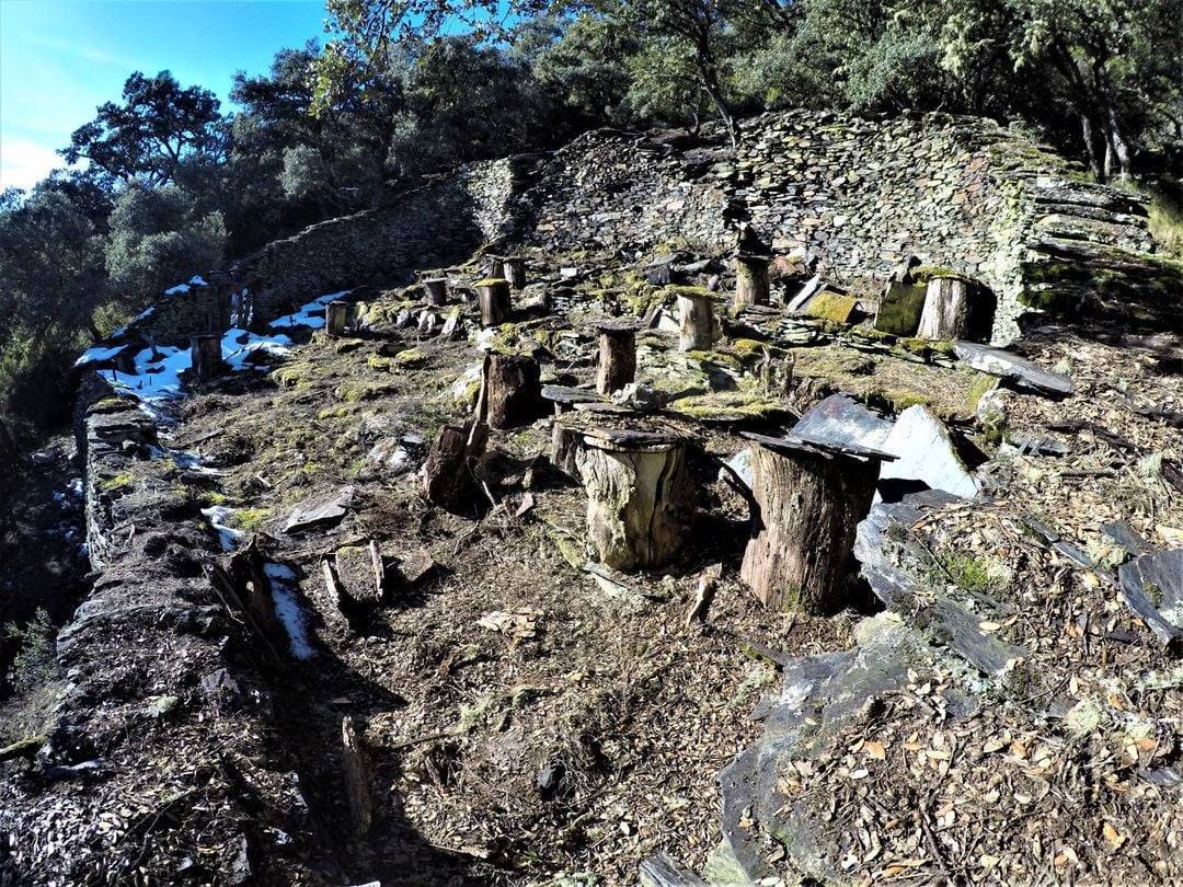 Conjunto de 17 cortines para proteger las colmenas de los ataques de osos hallados en la localidad berciana de Fonfría.