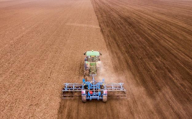 La agricultura, habitualmente un sector 'motor' de la economía leonesa, se ha convertido este mes de enero en el de mayor actividad. 