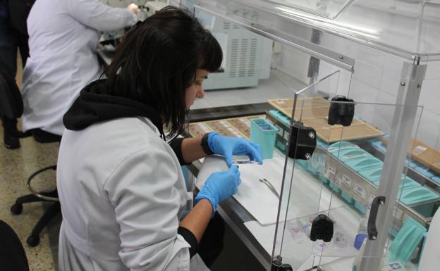 La organización sindical remarca su temor a que la nueva reforma laboral tenga consecuencias directas en la investigación de los diferentes centros universitarios.