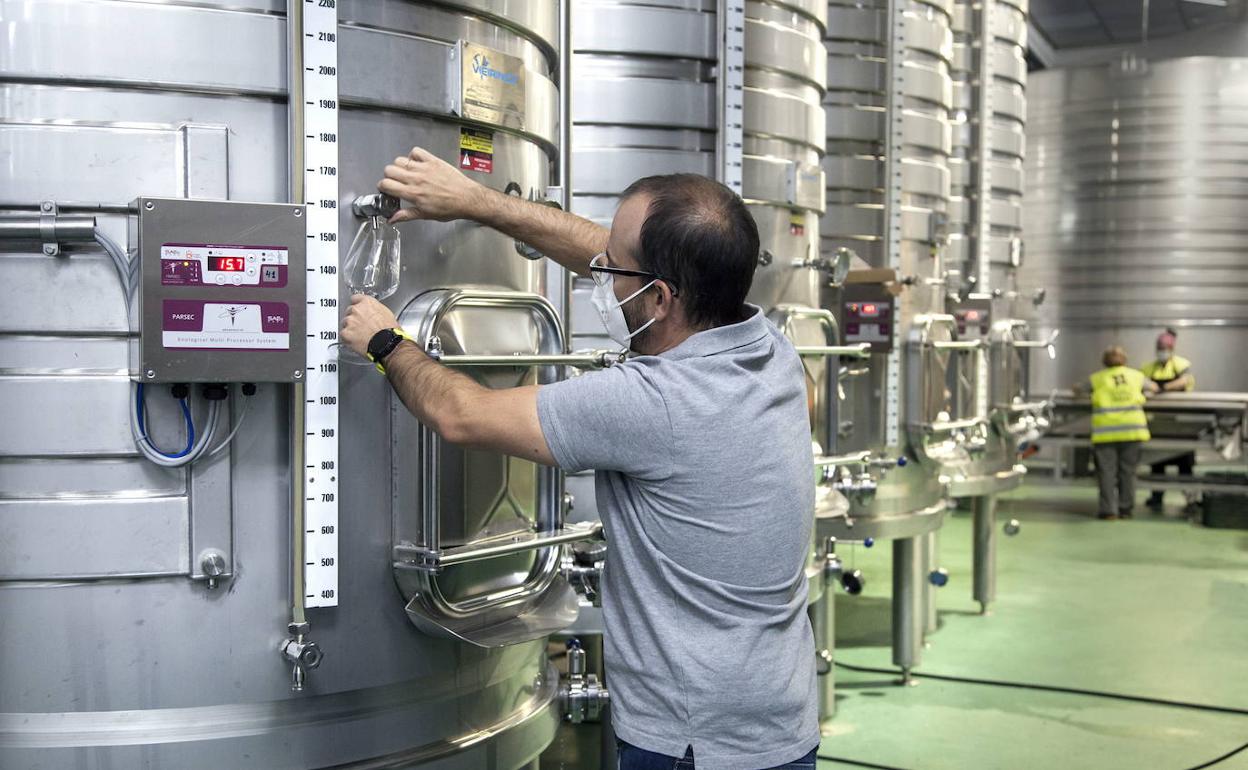 Instalaciones de la Bodega Cuatro Rayas que acogerá la primera de las jornadas de puertas abiertas. 