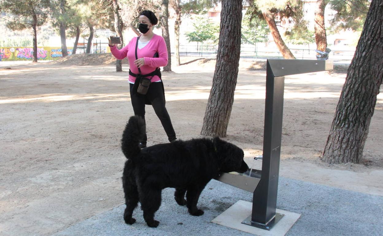 Parque canino en Ponferrada.