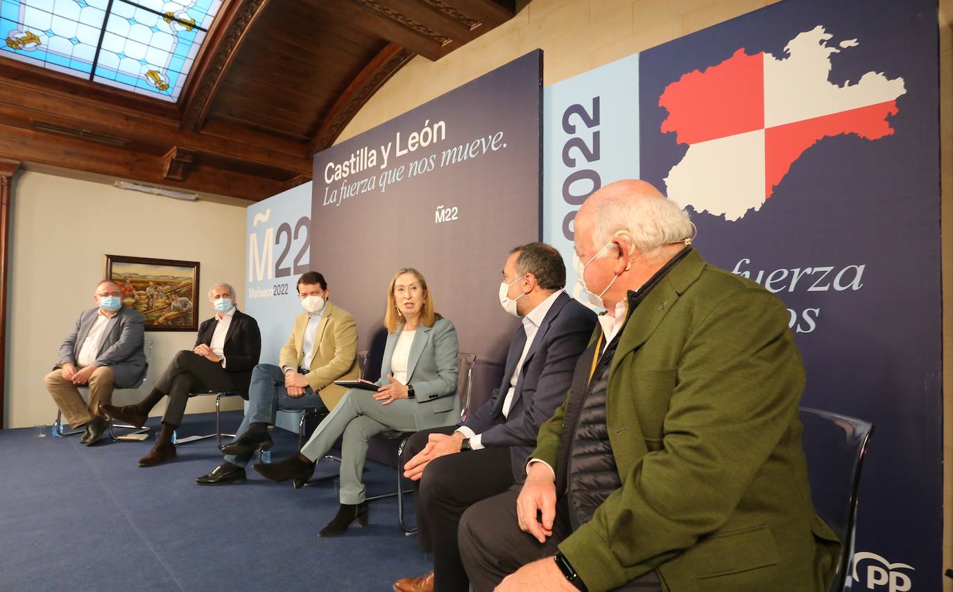 El candidato del PP de Castilla y León a las elecciones autonómicas, Alfonso Fernández Mañueco, participa junto a Ana Pastor en una mesa sobre modelo sanitario en Aranda de Duero