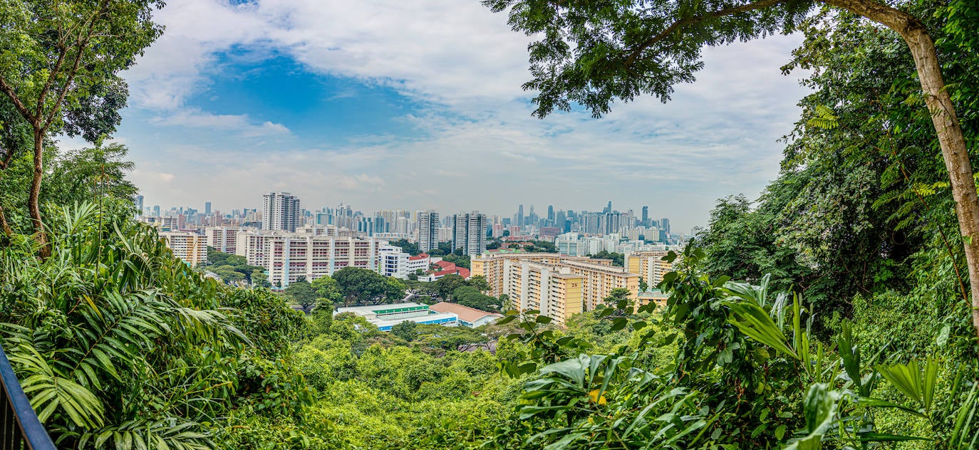 Mount Faber Park, Singapur