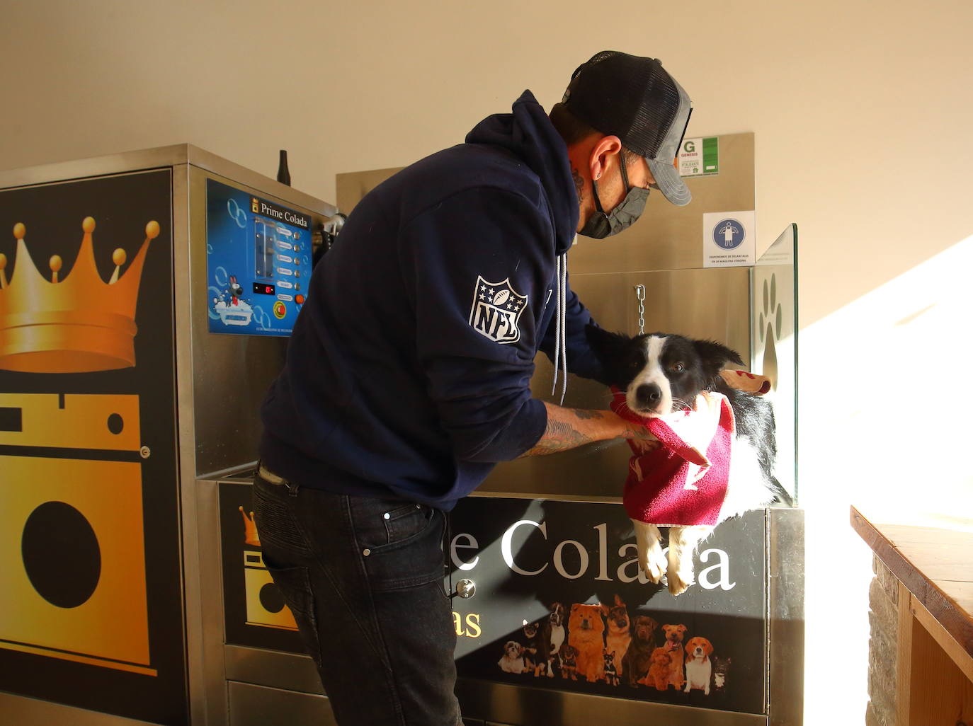 Fotos: Autolavado de mascotas Prime Colada de Ponferrada