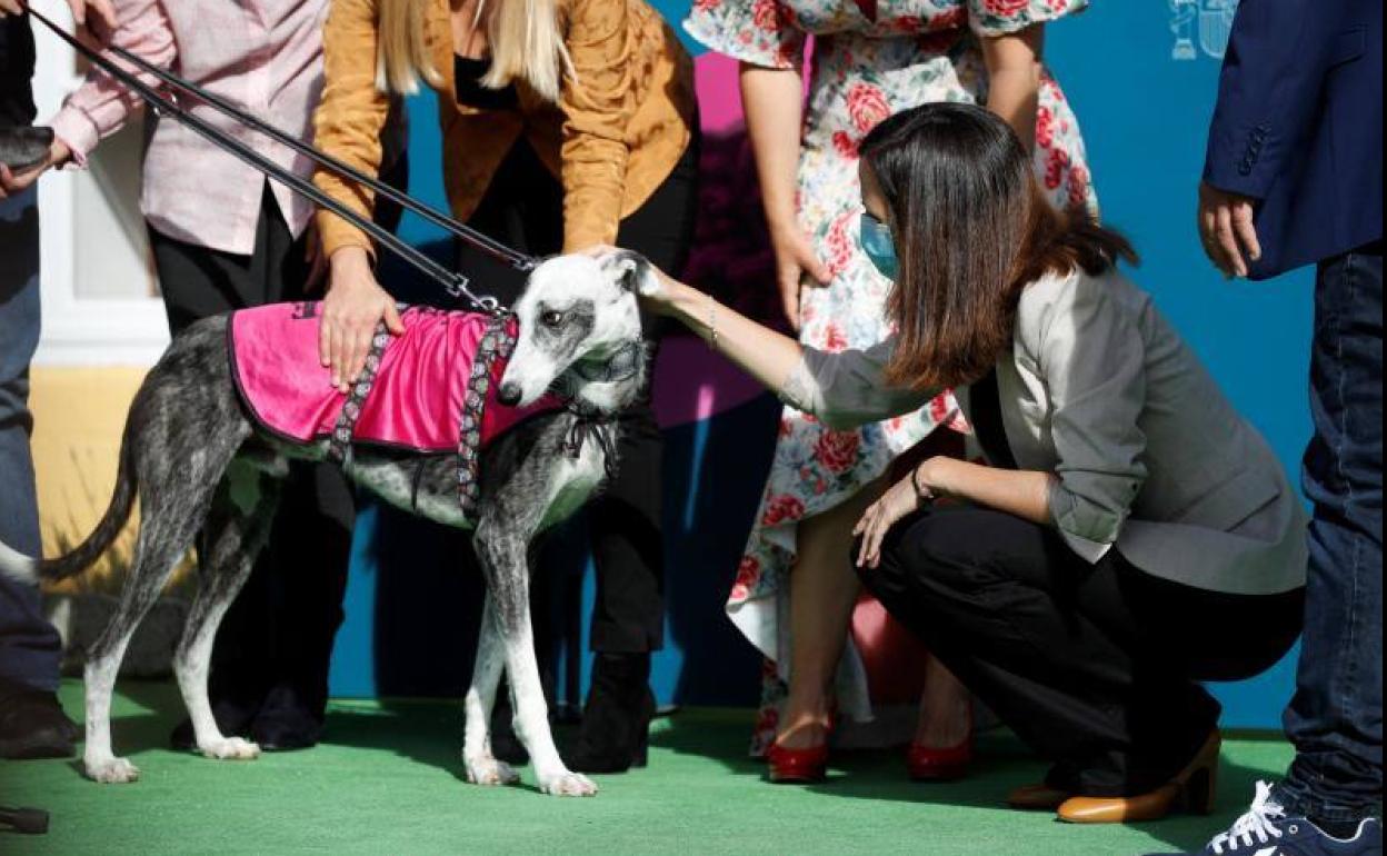 La ministra de Derechos Sociales,, Ione Belarra, participa en un acto con motivo del Día Mundial de los Animales.