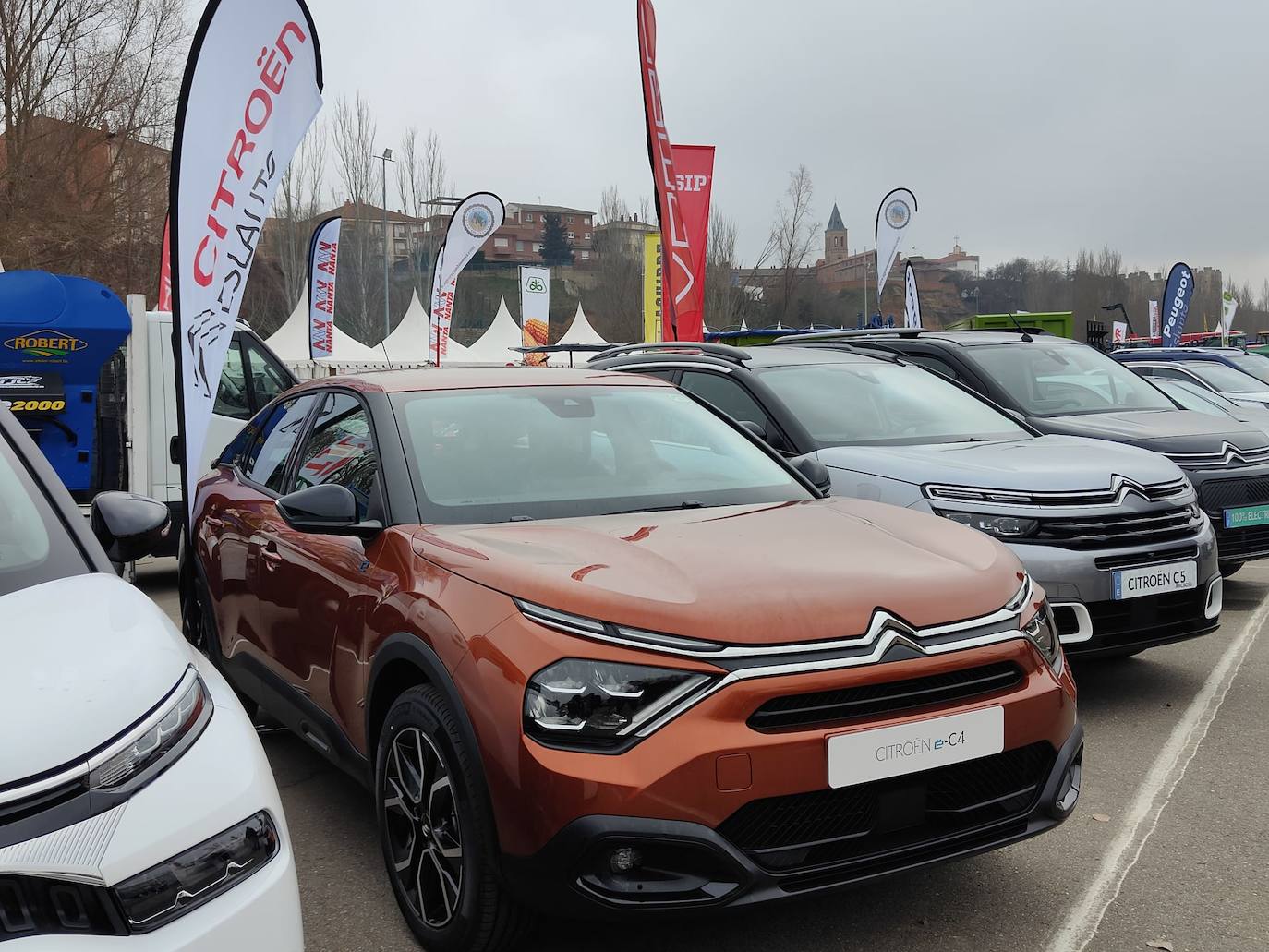 Valencia de Don Juan inaugura su tradicional Feria de Febrero. En su edición 101, este evento cuenta con más de 130 expositores divididos en dos espacios, uno en el tradicional complejo La Isla en el que se ubica la maquinaria agrícola y servicios relacionados con el sector primario y la exposición de vehículos y, el segundo, la Plaza Mayor que acoge un gran carpa para albergar stands de alimentación así como de multiservicios. 