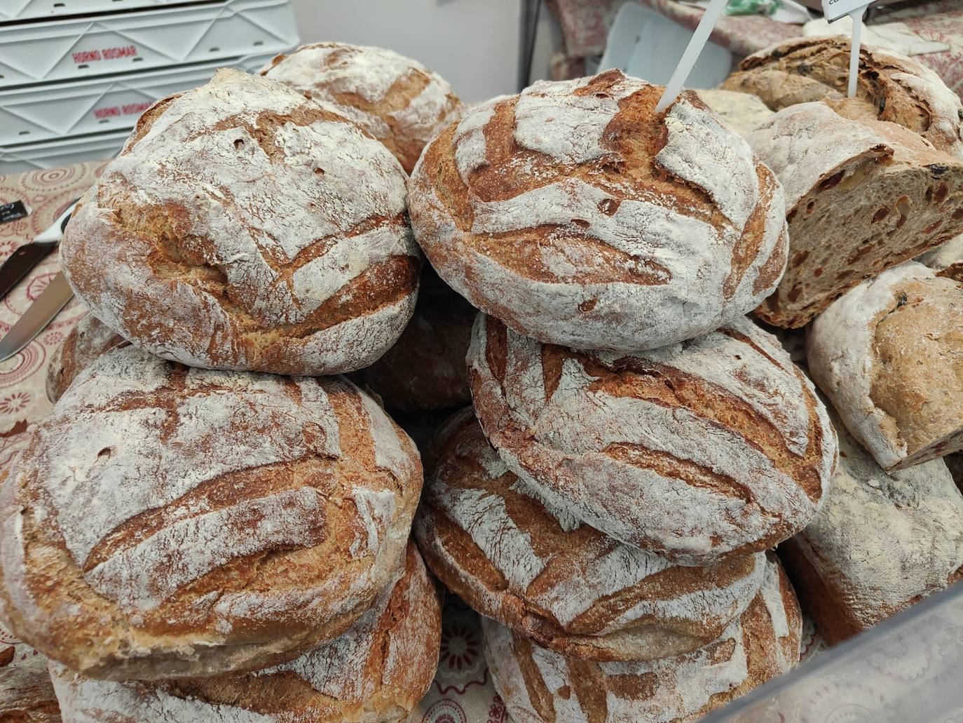 Valencia de Don Juan inaugura su tradicional Feria de Febrero. En su edición 101, este evento cuenta con más de 130 expositores divididos en dos espacios, uno en el tradicional complejo La Isla en el que se ubica la maquinaria agrícola y servicios relacionados con el sector primario y la exposición de vehículos y, el segundo, la Plaza Mayor que acoge un gran carpa para albergar stands de alimentación así como de multiservicios. 