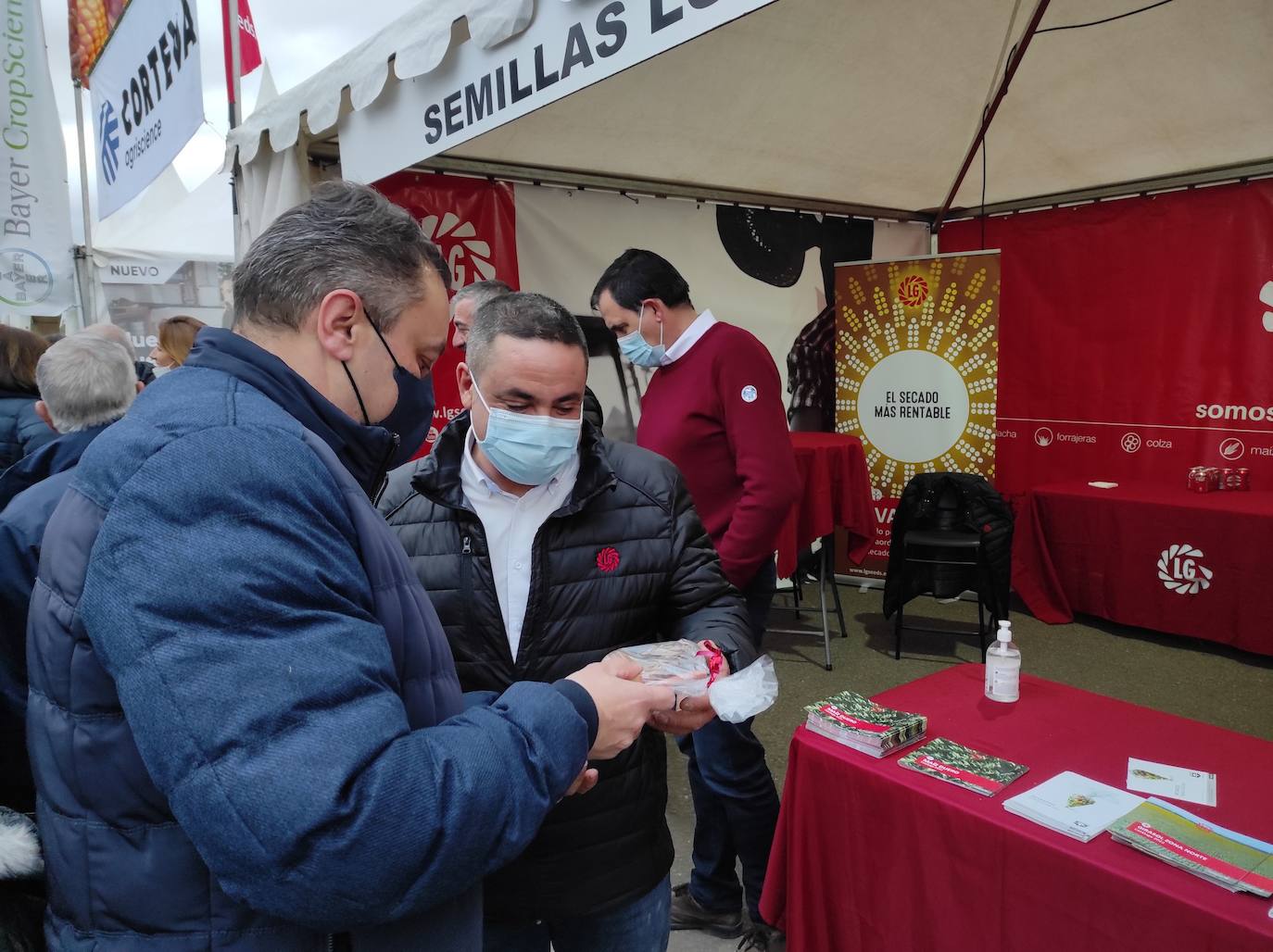 Este sábado 19 de febrero, a las 12:00 horas, junto a la exposición de tractores antiguos, en el entorno del Castillo se celebrará el II Concurso-Exposición de Burros de raza Zamorano-Leonesa.