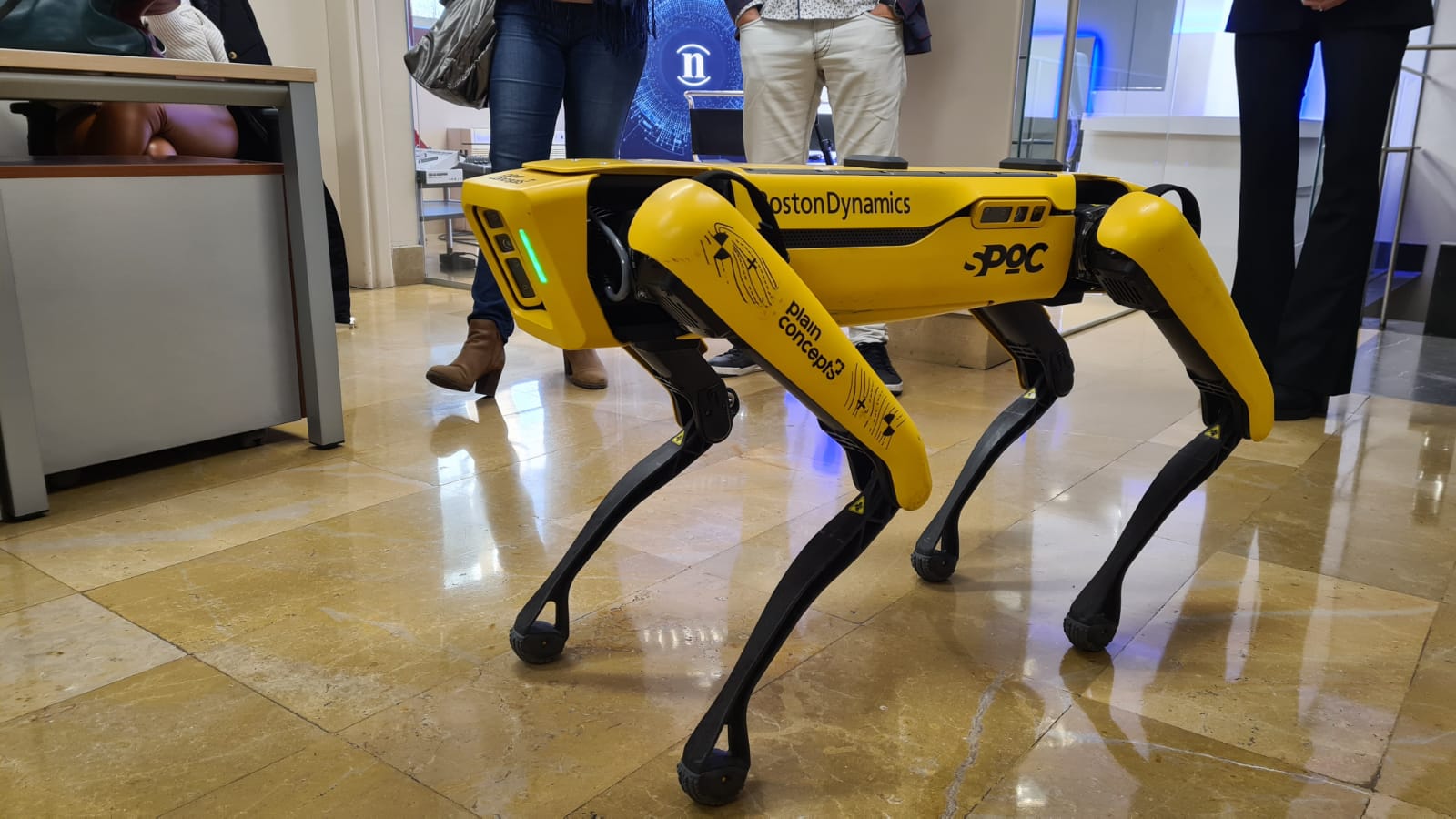 El viral cuadrúpedo, que sorprendió a todos en las calles de León hace unos meses, ha hecho parada en la redacción de este periódico digital.