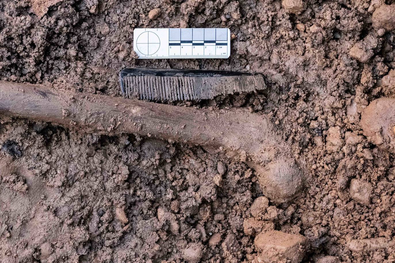 La ARMH localiza en el cementerio de Villadangos del Páramo (León) una fosa con diez cuerpos de personas fusiladas en 1936