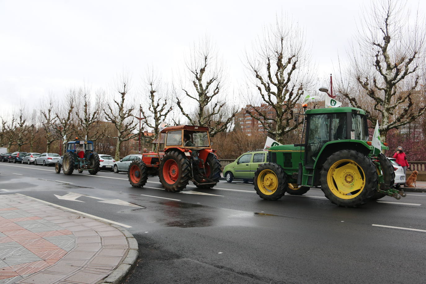 Manifestación de UCCL por las calles de la capital leonesa. 