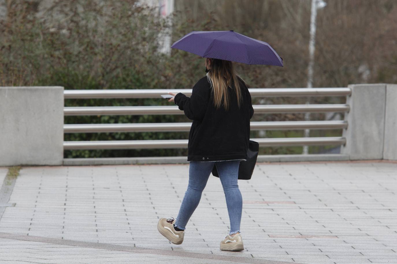 Manifestación de la Asociación de Mujeres Feministas Bercianas en Ponferrada. 