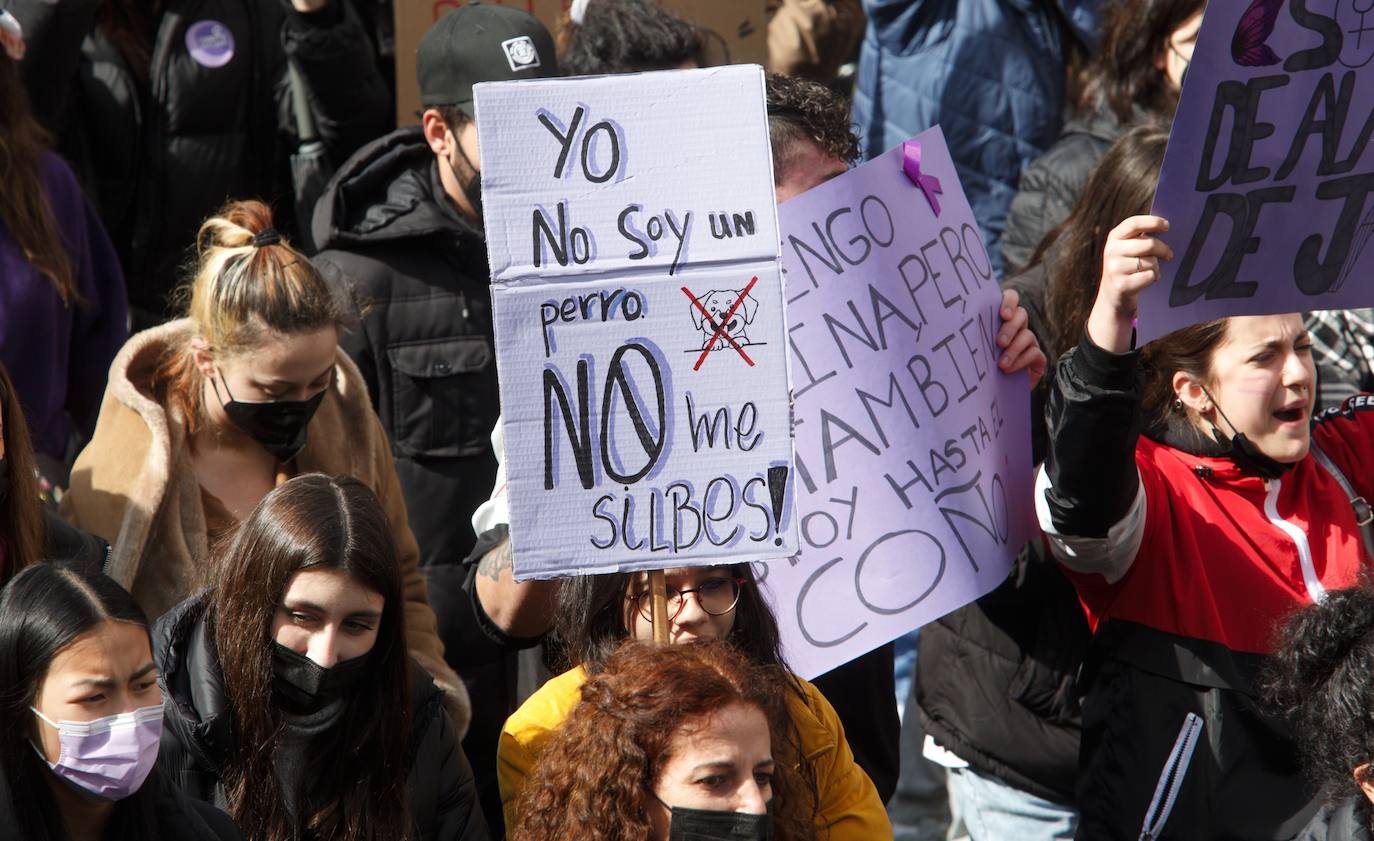 Manifestación de la Asociación de Mujeres Feministas Bercianas en Ponferrada. 