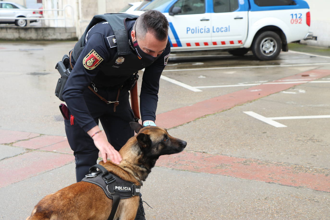 Los dos canes están integrados en la policía canina y acompañados por sus dos guías patrullan la ciudad.