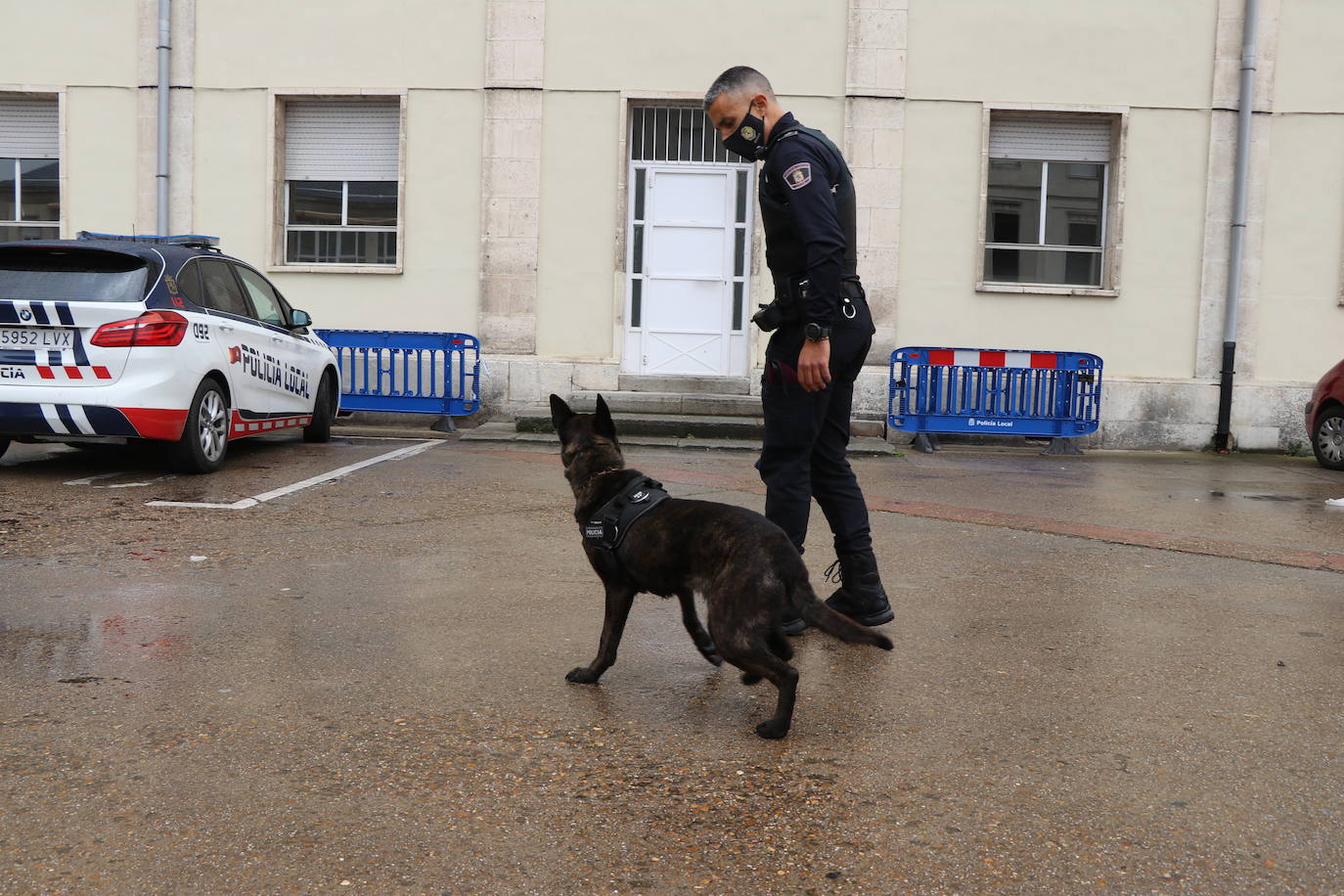 Los dos canes están integrados en la policía canina y acompañados por sus dos guías patrullan la ciudad.