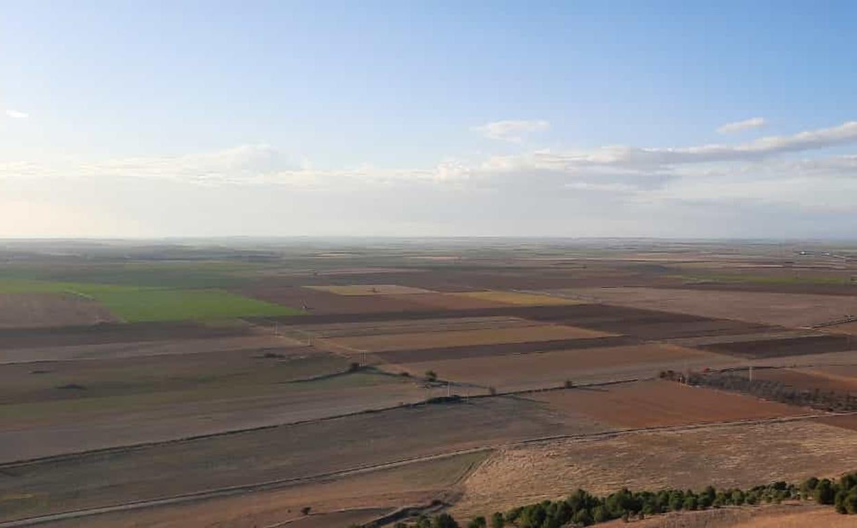 Tierras de cultivo en la zona de Urueña, Valladolid. 