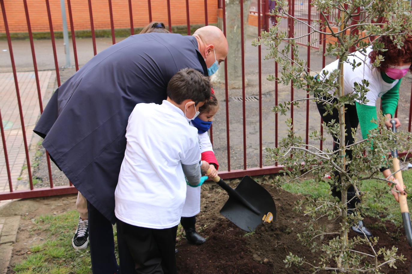 385 árboles serán plantados en el Vivero Municipal del Ayuntamiento de León.
