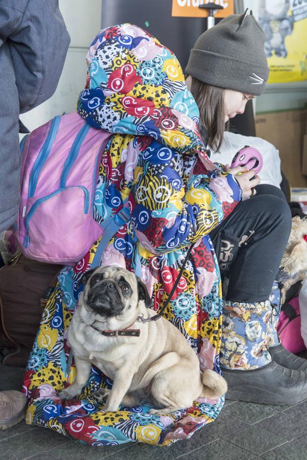 Una niña refugiada comparte su abrigo como cama para su perro en el andén de la estación.