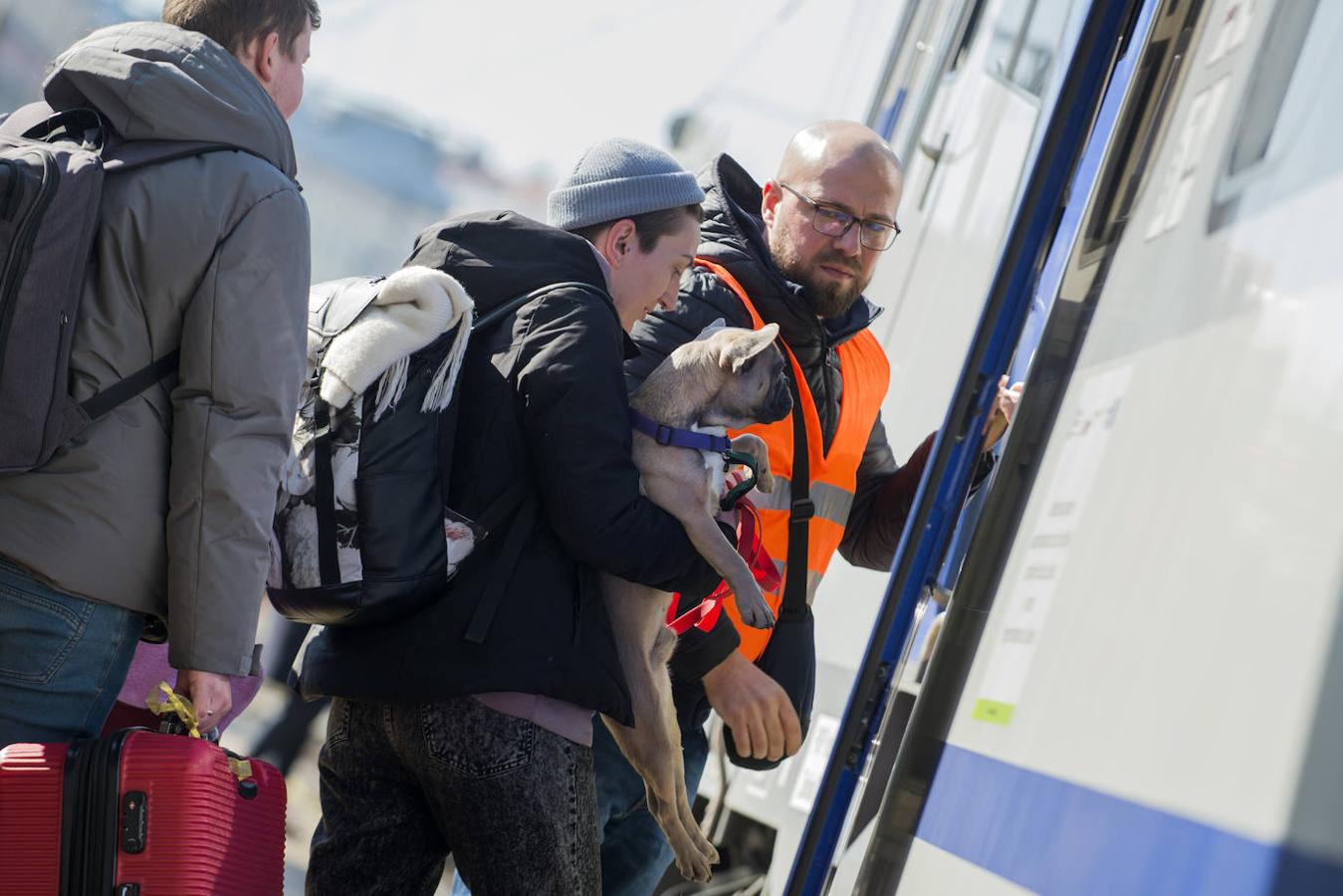 Los refugiados suben a los trenes que los llevan a diferentes ciudades europeas con sus mascotas, a las que se les podrían poner límites en los próximos días.