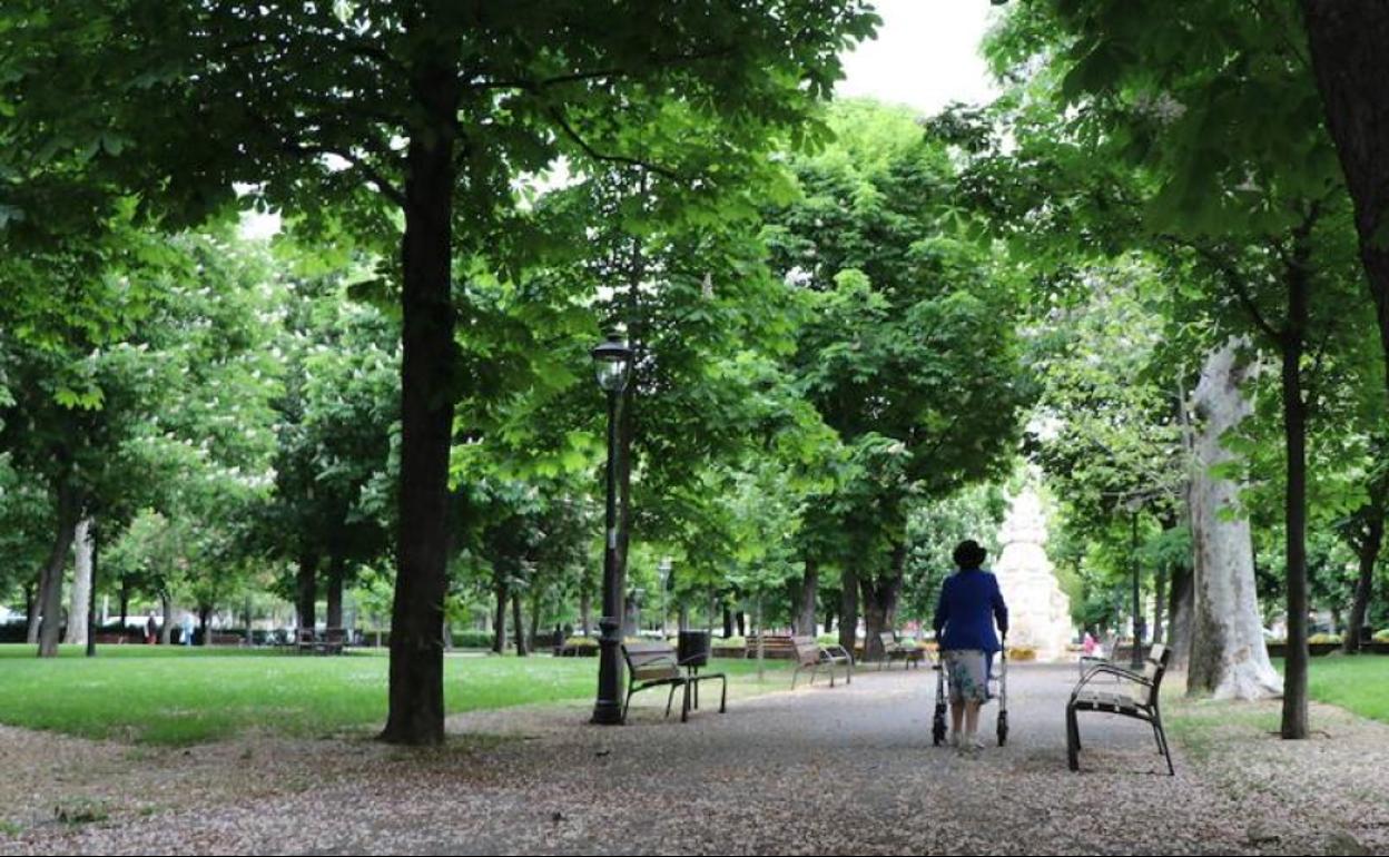 El nuevo contrato debe garantizar el mantenimiento de parques y jardines de la ciudad de León durante ocho años.