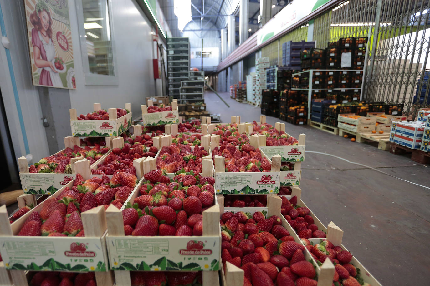 Mercaleón recibe mercancías para garantizar el abastecimiento tanto de pescado como de frutas, hortalizas y carnes.