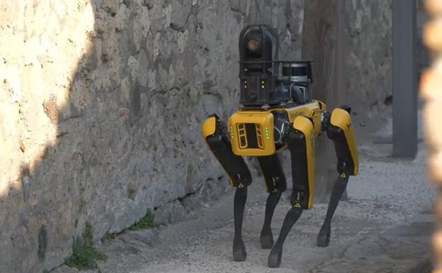 El perro-robot examina todos los puntos comprometidos de las ruinas. 