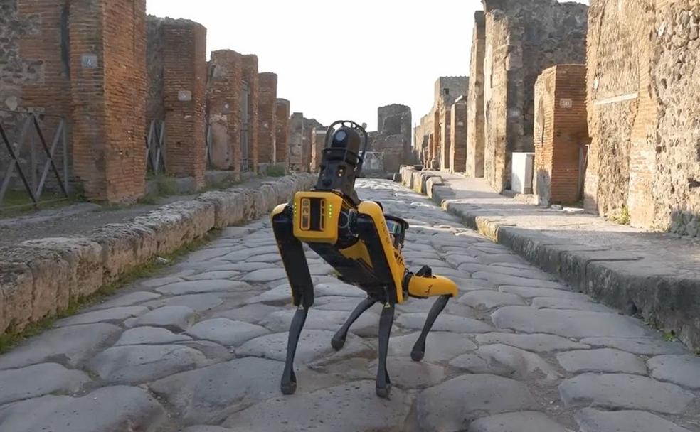 'Spoc' durante sus labores de vigilancia por las ruinas de Pompeya. 