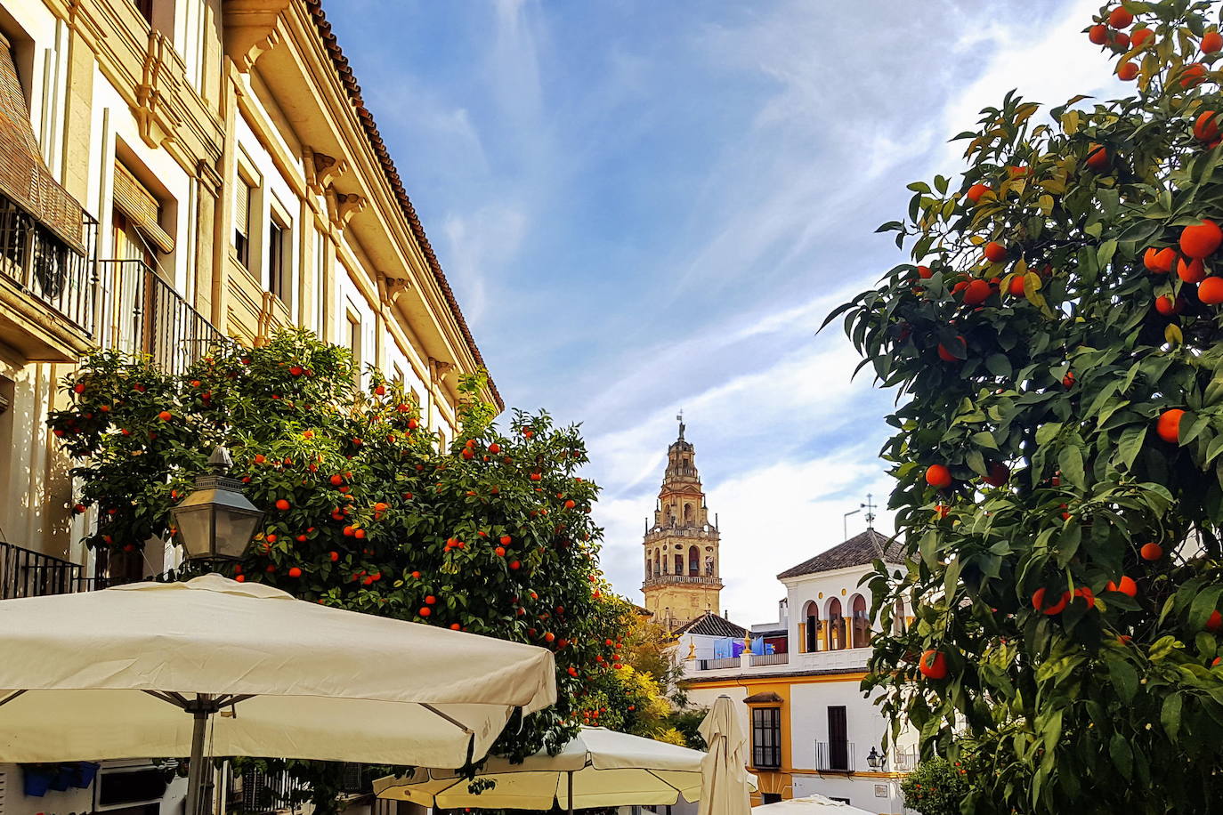 Sevilla | Media de 340 horas de sol al mes. Un viaje durante los meses de verano más intenso resulta chisporroteante incluso para los mayores amantes del calor, ya que esta ciudad no costera registra algunas de las temperaturas más abrasadoras del país.