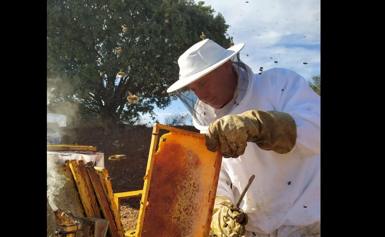 Un apicultor trabaja en una colmena. 