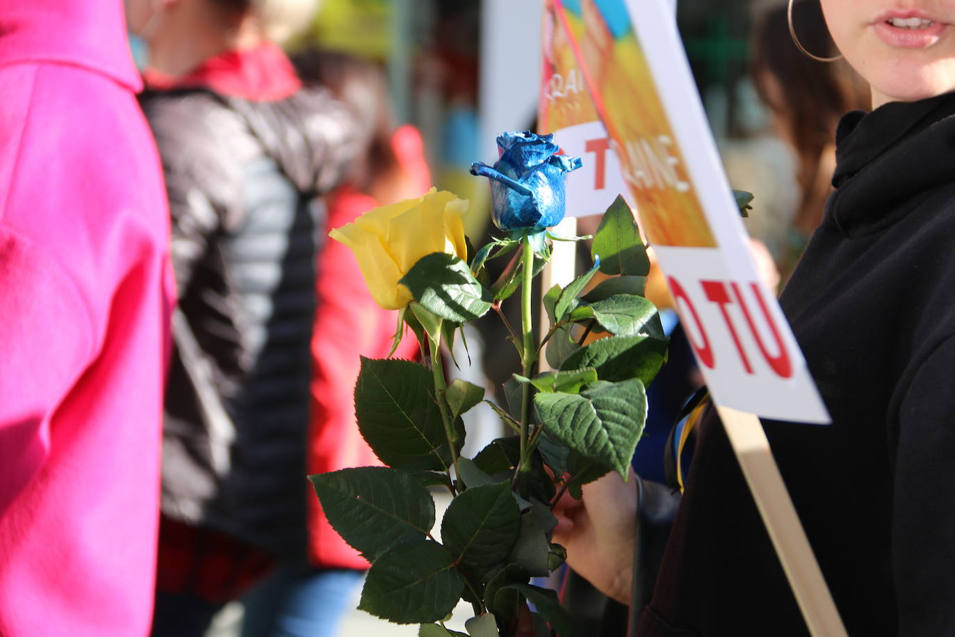 Centenares de personas se suman a esta marcha en la que se denuncia a situación que se vive en este país por culpa de Rusia.