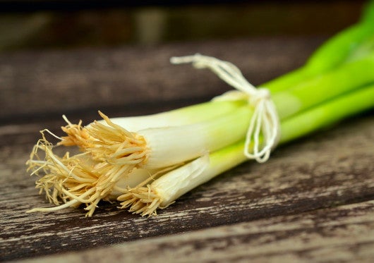 La coincidencia con la muestra de las Edades del Hombre le dan un protagonismo especial a Semana Santa de Sahagún.