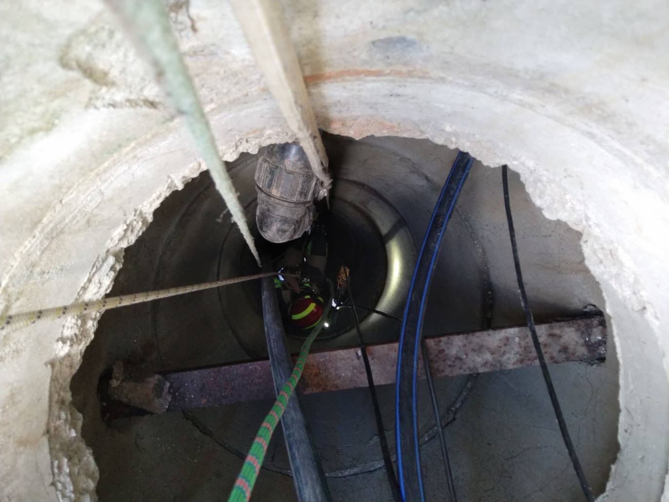 Imagen del rescate de un gato por los Bomberos de Ponferrada. 