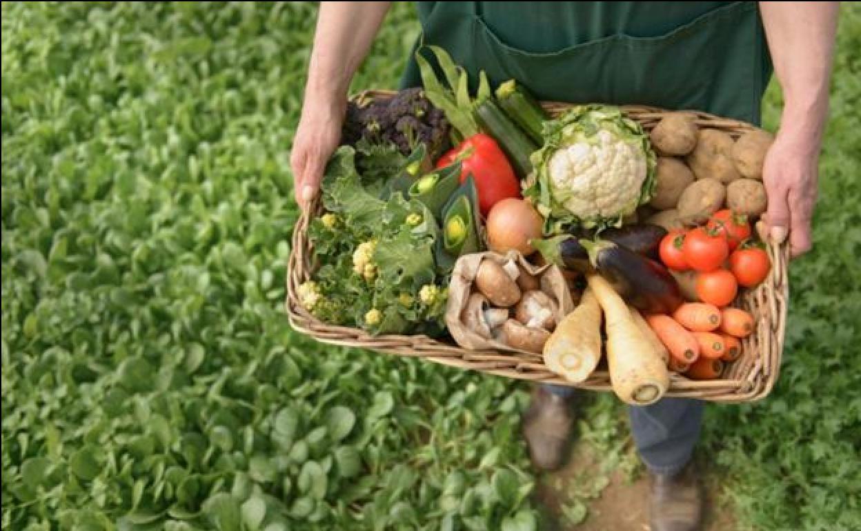 El Banco de Tierras del Bierzo organiza el segundo curso de iniciación a la agricultura.