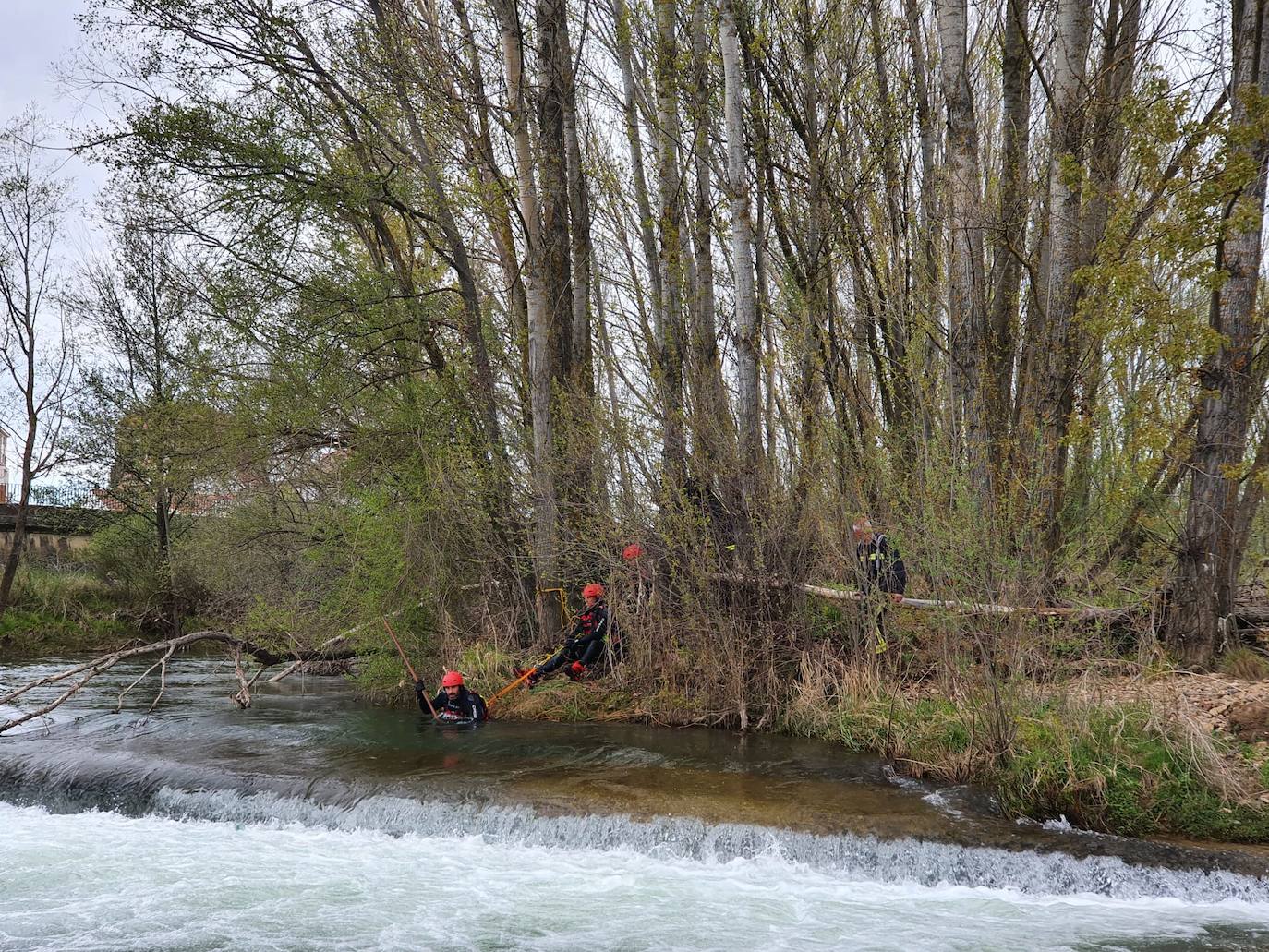 Activado un dispositivo de búsqueda tras denunciarse la desaparición de un hombre en el entorno del río Torío. Efectivos de Bomberos León se han desplazado al lugar con el fin de localizar al desaparecido tras localizar a su perro en las inmediaciones atado a un árbol.