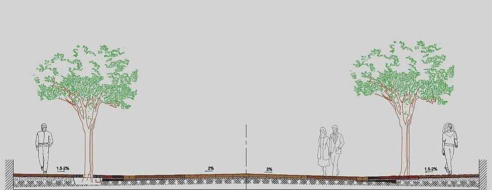 Imagen de la sección completa de los viales.