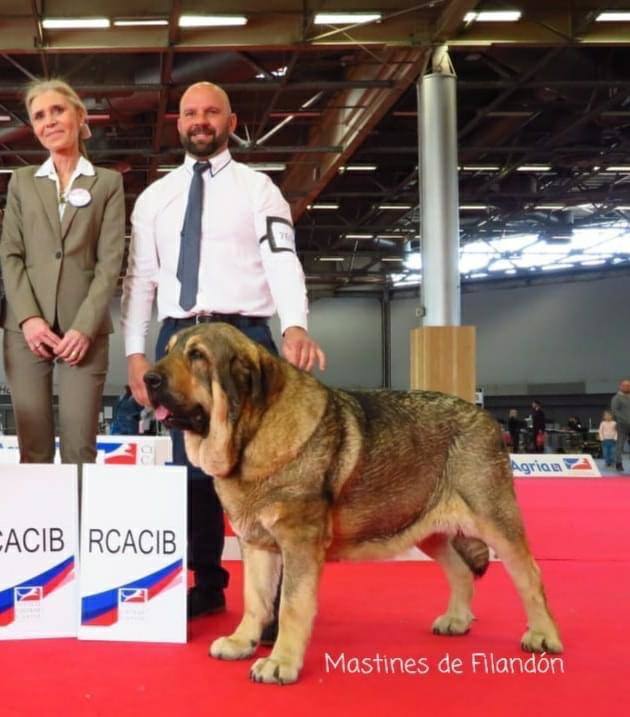 Delegación leonesa en el European Dog Show celebrado en París, con triunfos de la provincia. 