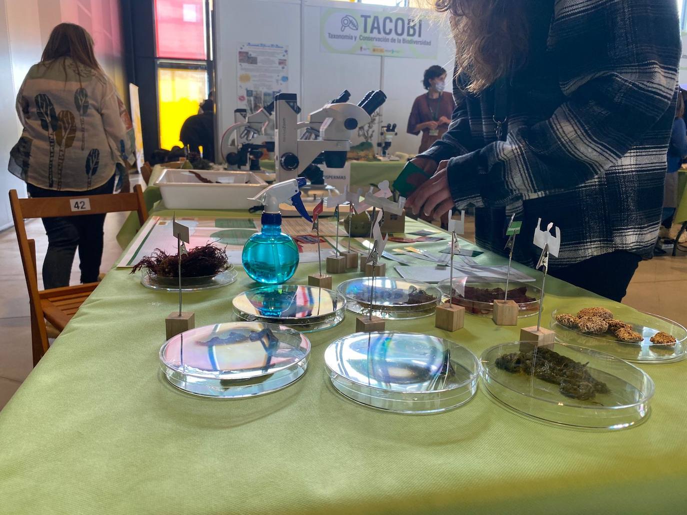 A lo largo de los próximos tres días el Palacio de Exposiciones se abre a la tercera edición de Expociencia de la Universidad de León 2022. Se trata de una cita que acoge a más de 5.000 escolares, que aprenderán de ciencia e investigación en los 43 stands disponibles de la institución educativa. 