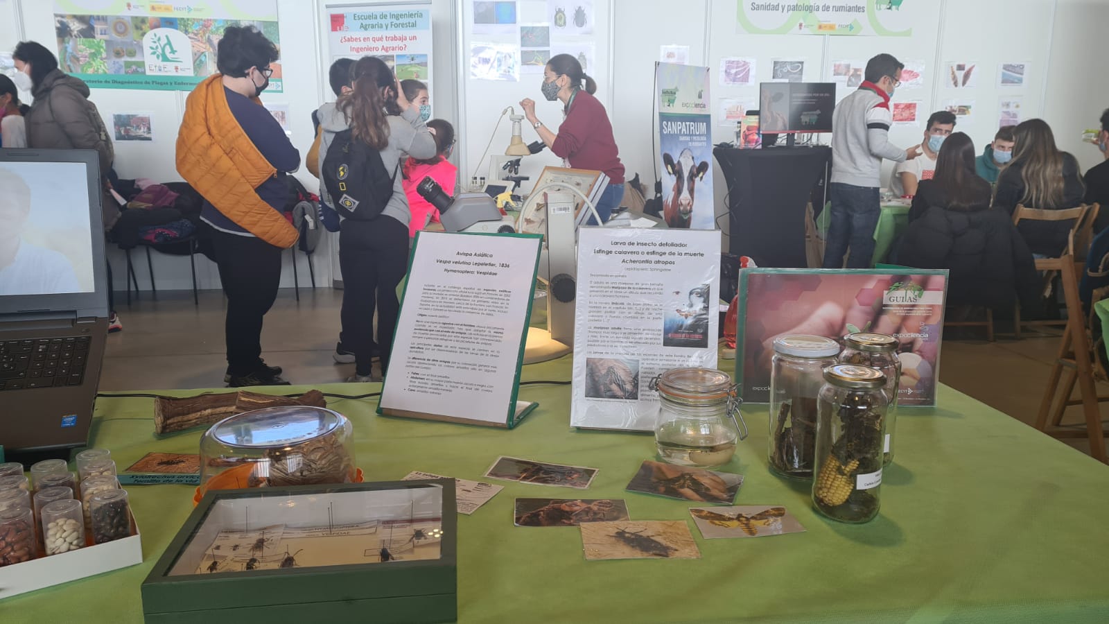 Fotos: Expociencia abre sus puertas en el Palacio de Exposiciones