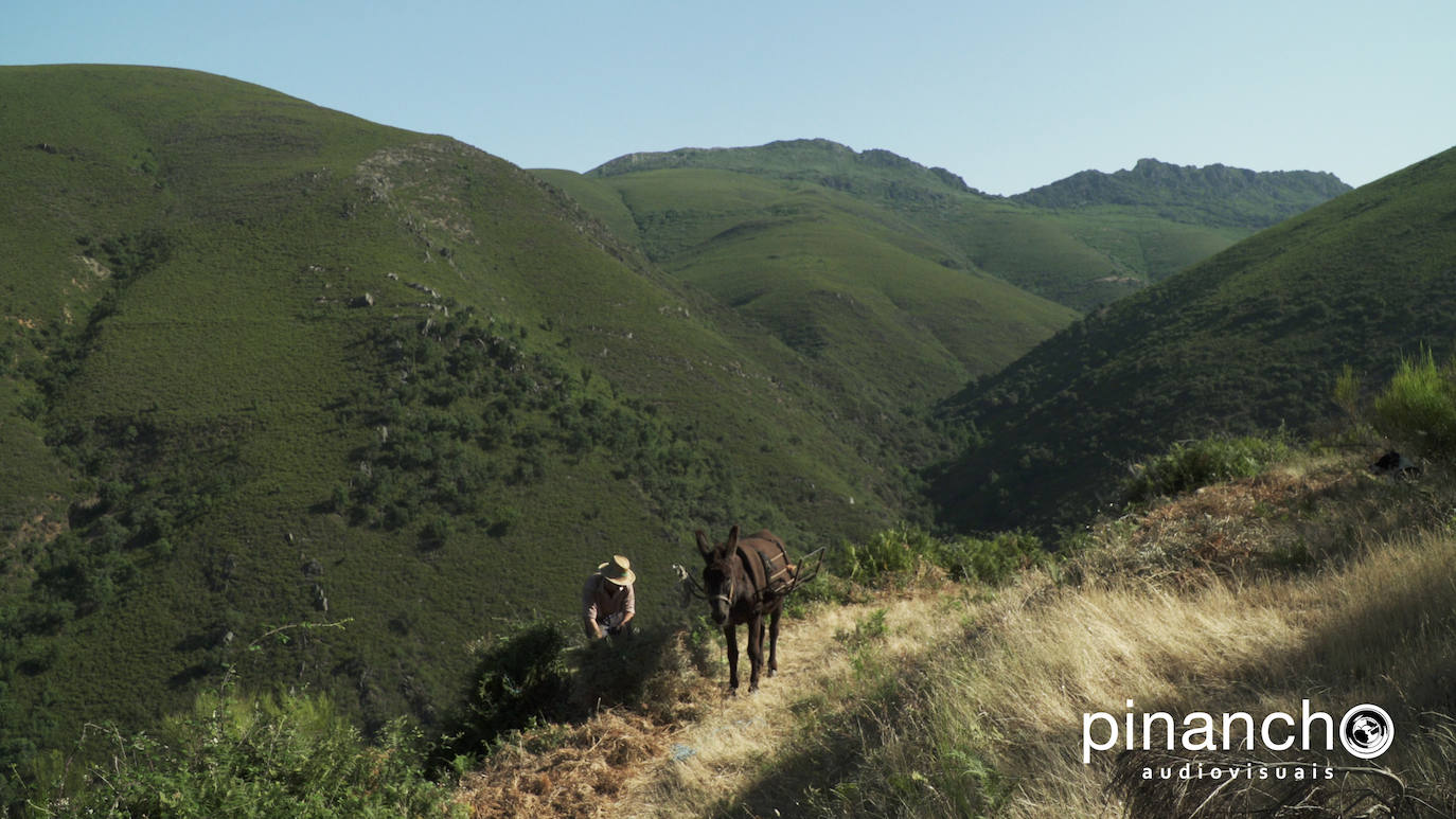 Fotos: El Arganeo se hace protagonista