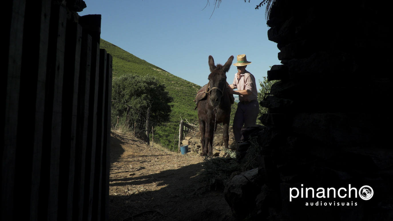 Fotos: El Arganeo se hace protagonista