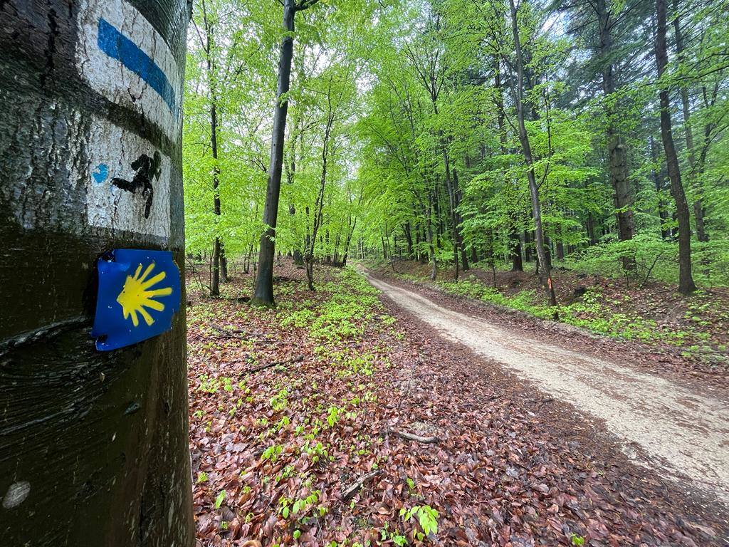 El catalán Jordi Girones recorrerá junto a su mujer, Carine Buncsi, diagnosticada con endometriosis desde 2019, 200 kilómetros del Camino de Santiago con salida desde Ponferrada para dar visibilidad a esta enfermedad | Una campaña de crowdfunding recauda fondos para la la Asociación de Endometriosis en España.