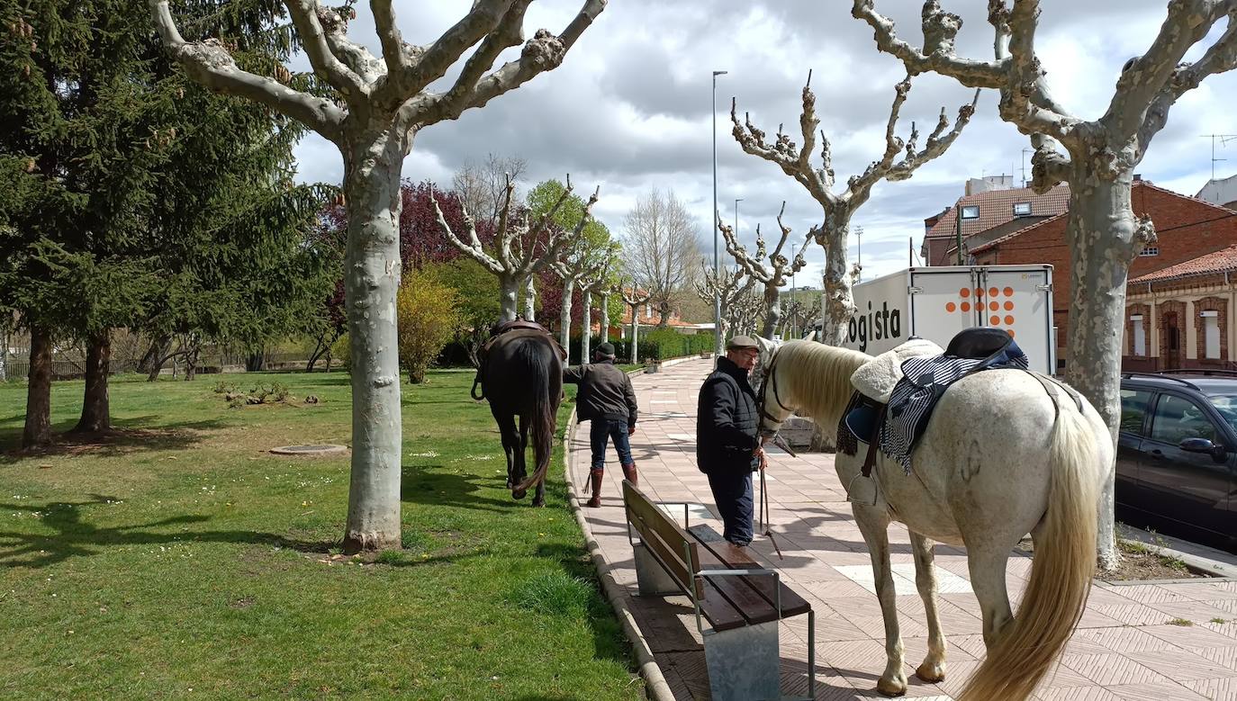 Fotos: De León a Santiago a lomos de Olaf y Giraldilla