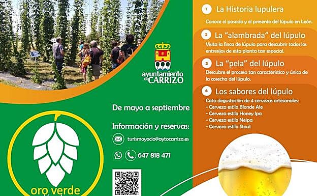 programa de las rutas del oro verde. 