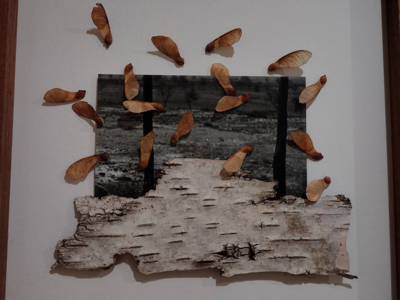 El creador, natural de Cacabelos, muestra un universo creativo en el que la geometría, la memoria y la reflexión sobre las proporciones son algunas de sus claves fundamentales | La muestra, comisariada por el director del Departamento de Arte del Instituto Leonés de Cultura, Luis García, podrá verse durante los meses de mayo, junio y julio