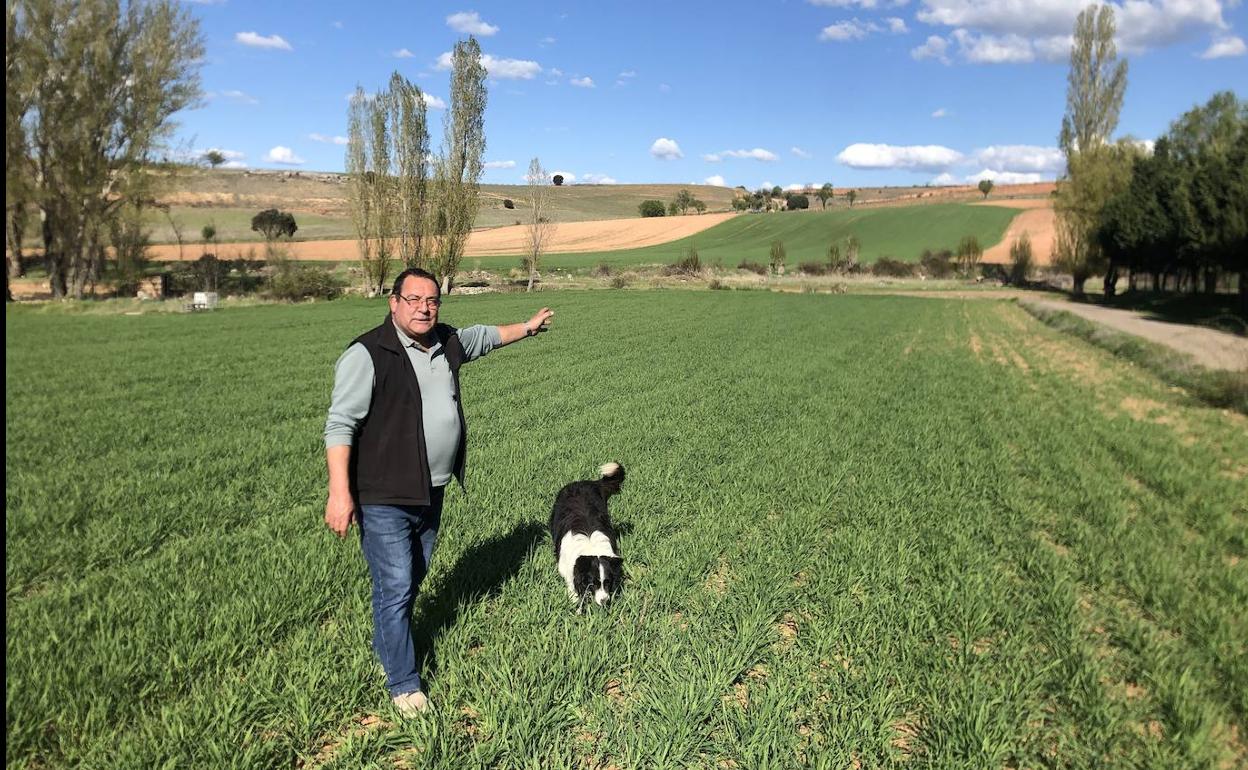 «Los insumos nos van a arruinar»