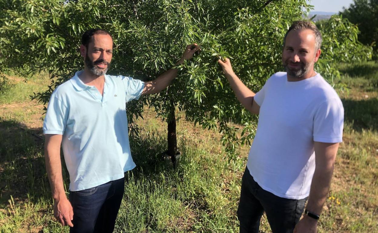 «Hay un boom de plantaciones porque hay más demanda que producción»