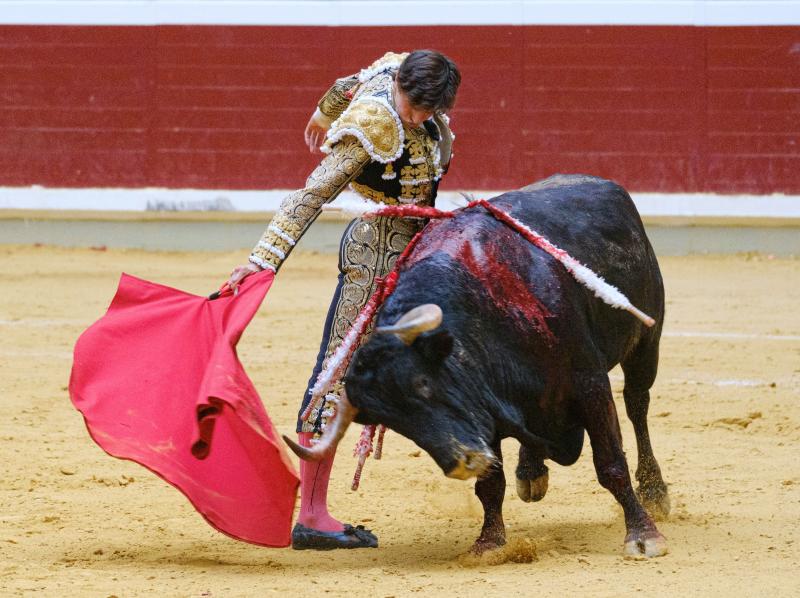 Fotos: Cartel de la Feria de San Juan y San Pedro