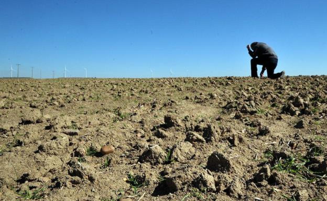 EL minsiterio de Agricultura hace frente a los elevados costes de producción por la situación internacional.